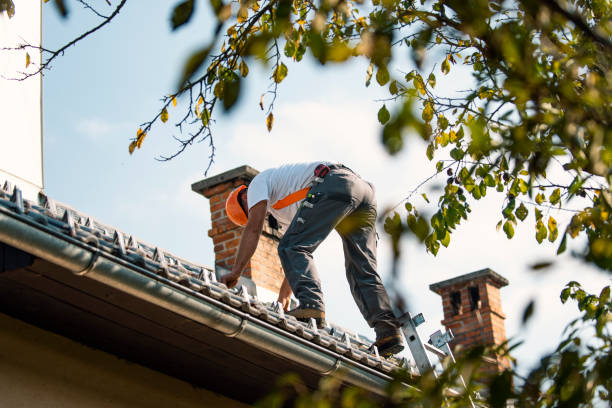 Best Commercial Roofing Services  in Coyne Center, IL