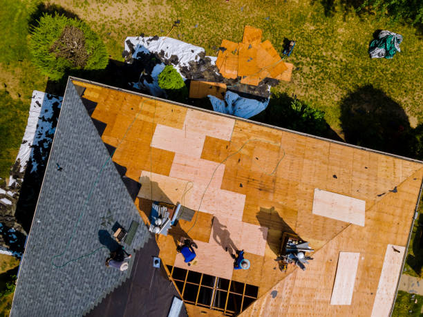 Tile Roofing Contractor in Coyne Center, IL