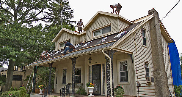 Best Gutter Installation and Roofing  in Coyne Center, IL