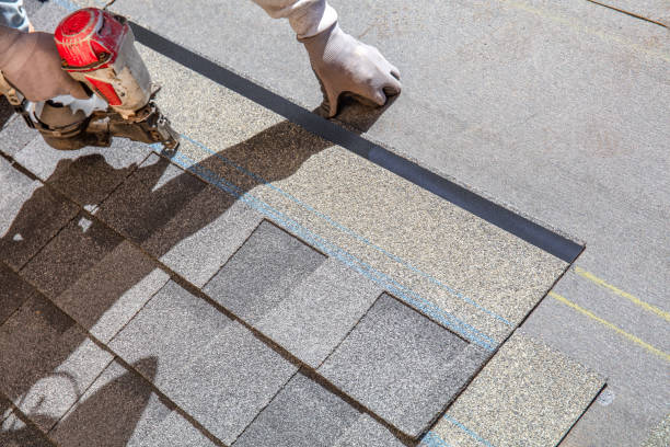 Best Storm Damage Roof Repair  in Coyne Center, IL