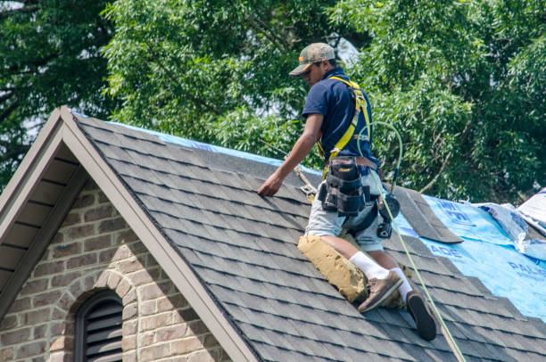 Best New Roof Installation  in Coyne Center, IL